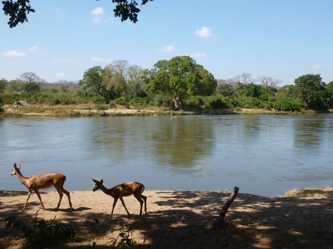 This river is actually also Shire river.