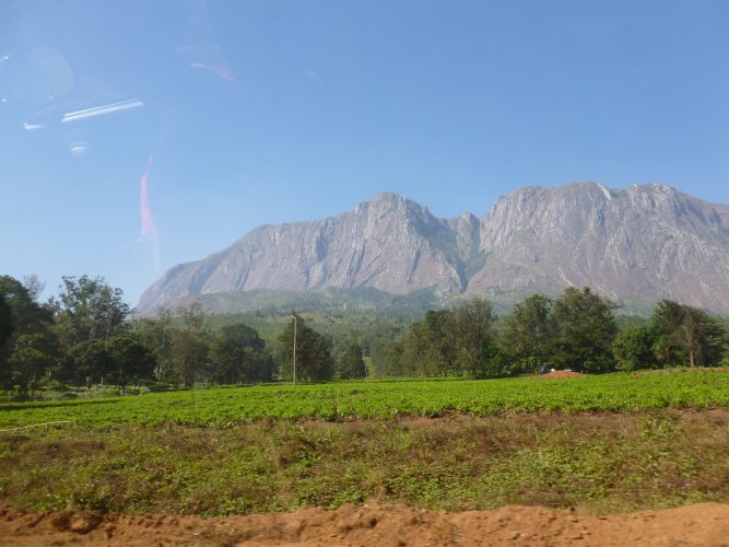 Approaching the Mulanje Massive for our trek last weekend. The bright green in the foreground are tea plantations.